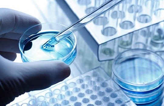 Laboratory